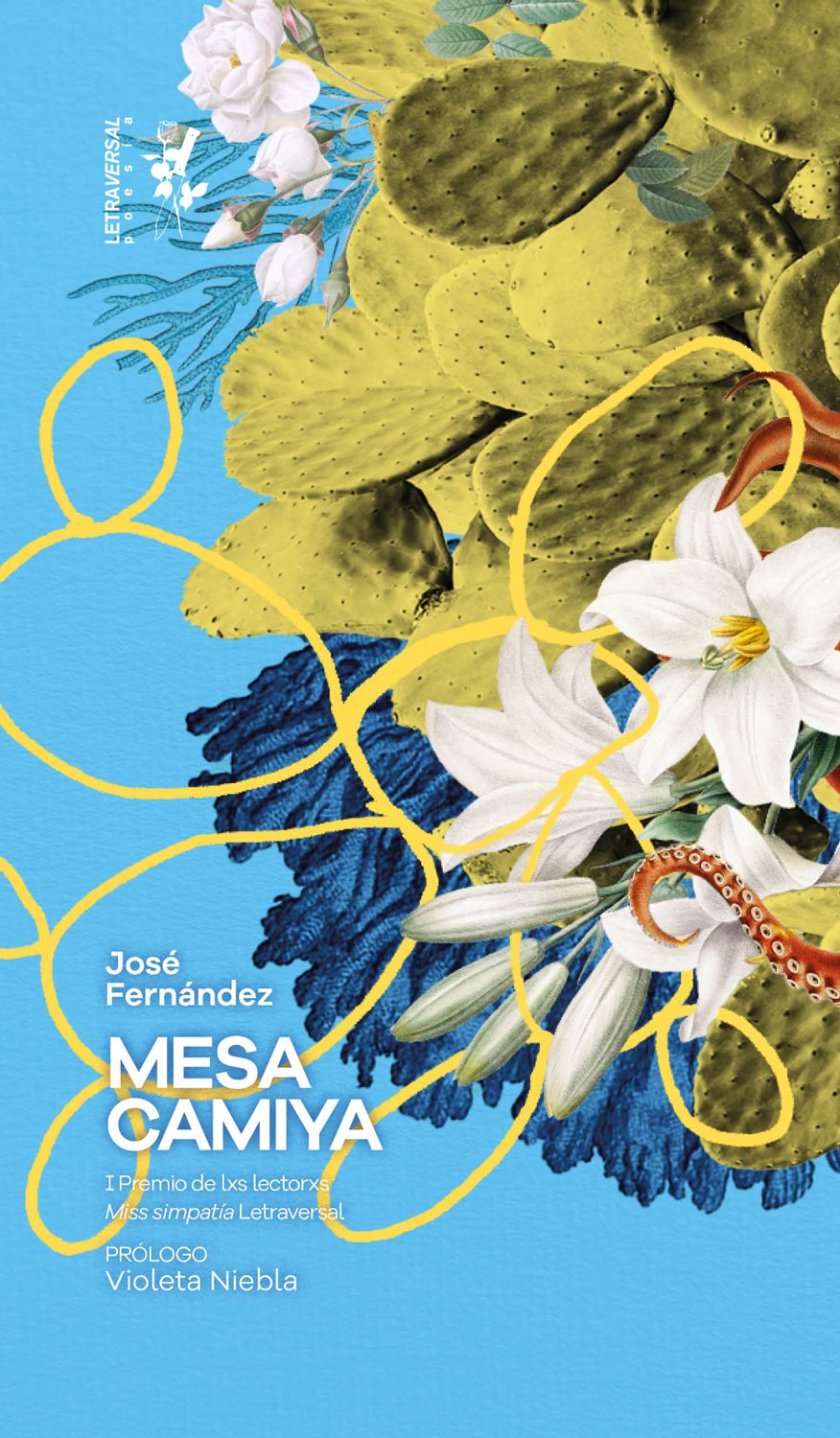 Mesa Camiya (José Fernández)-image